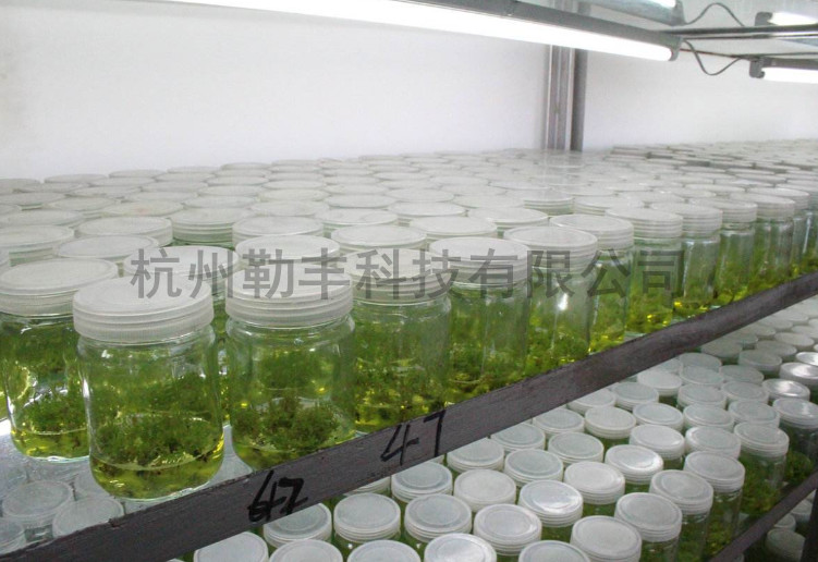1581556421(1)_副本.jpg